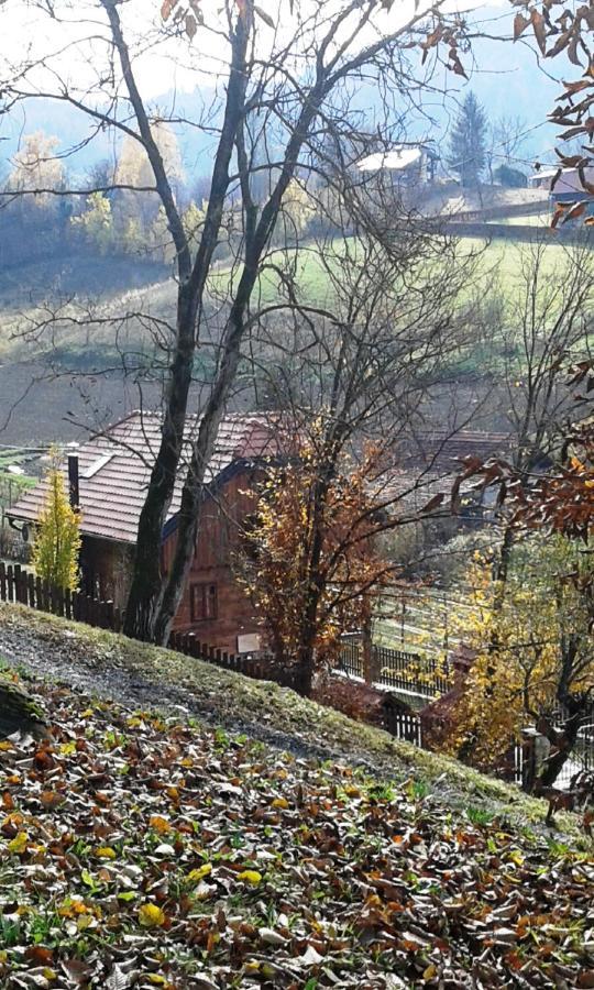 Vila Trnoruzica Tuhelj Exterior foto